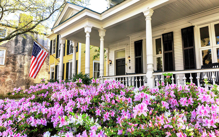 Flowers in the Front Yard Charleston Photograph by John Rizzuto