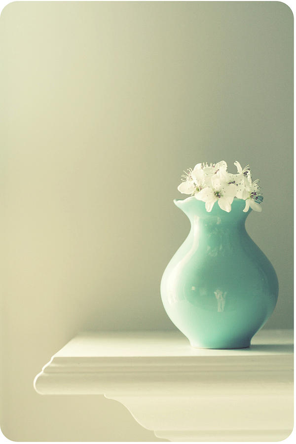 Flowers In Vase Photograph by Photography By Tera Fraley