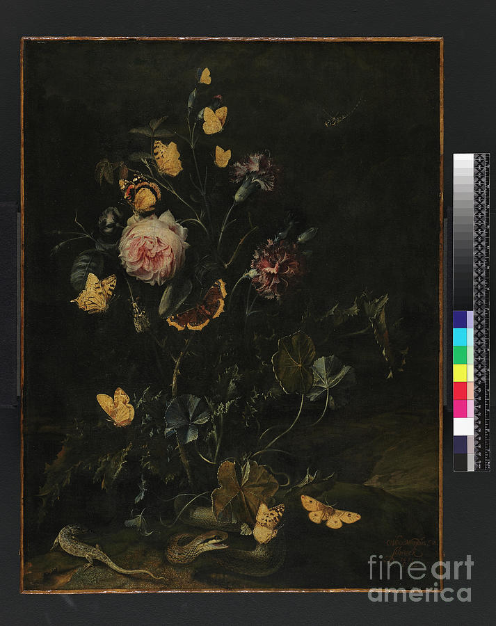 Flowers, Insects And Reptiles, 1673 Painting by Otto Marseus Van Schrieck