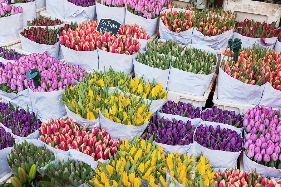 Flowers Market. Amsterdam Photograph by Luis Davilla