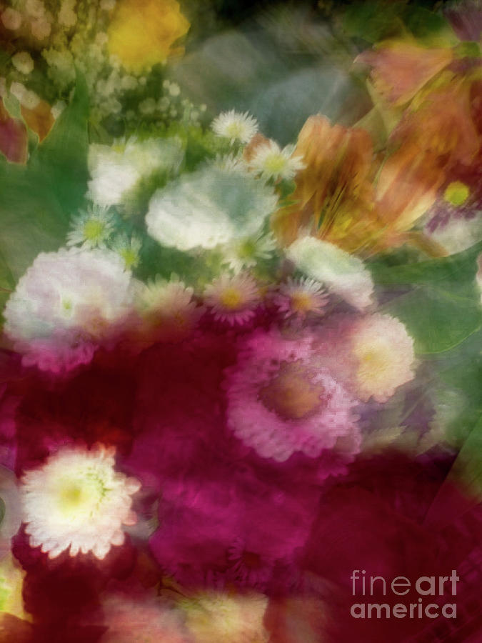 Flowers of all colors abstract Photograph by Phillip Rubino