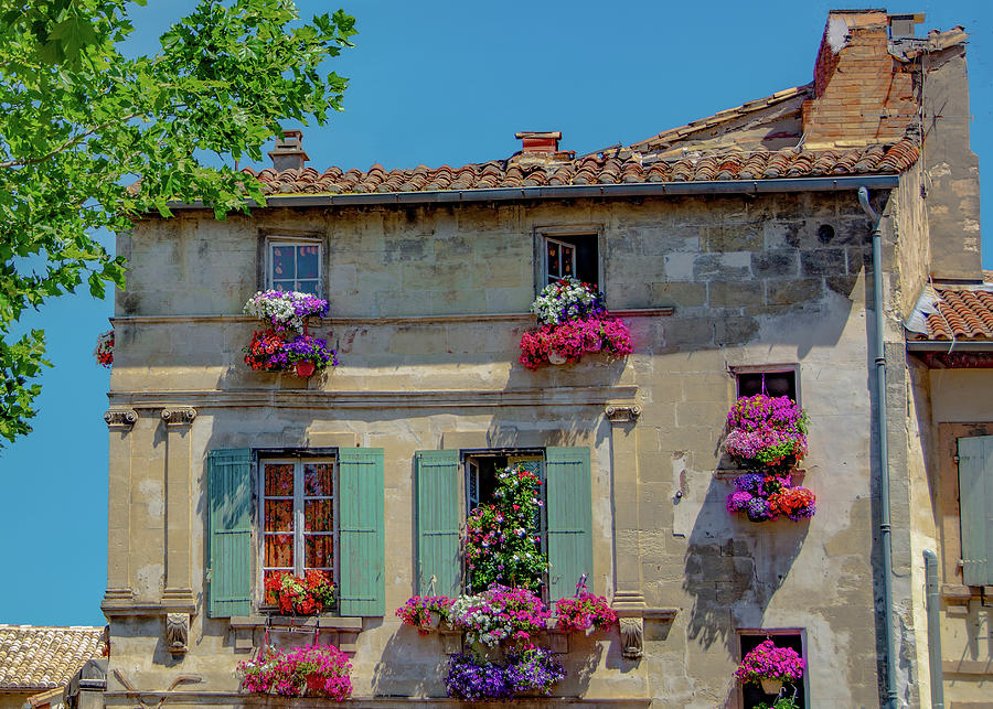 Flowers of Arles, France Photograph by Marcy Wielfaert