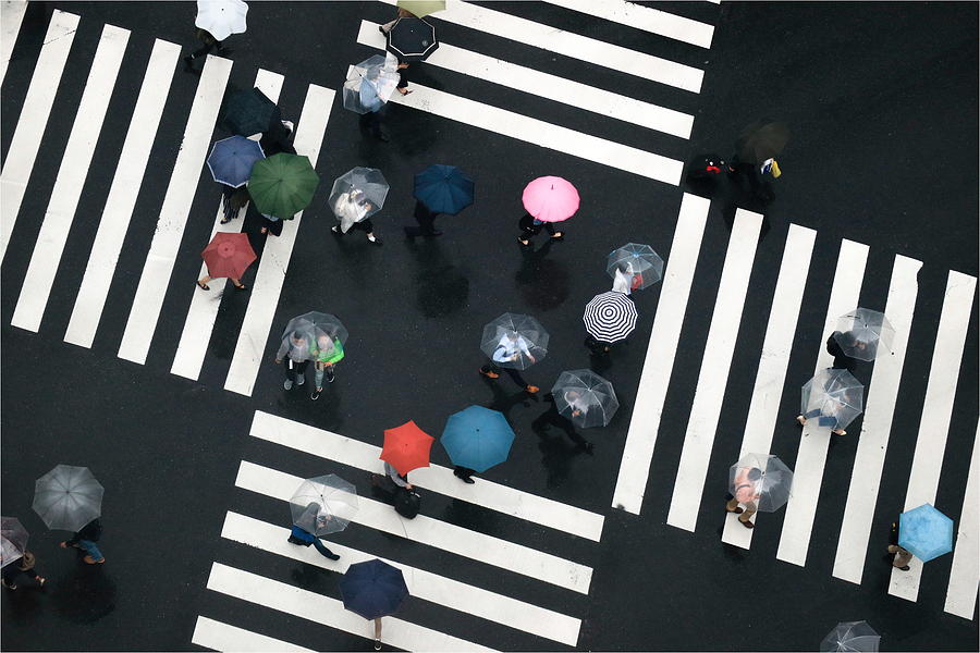 Umbrella Photograph - Flowers Of The Crossroads by Haruyo Sakamoto