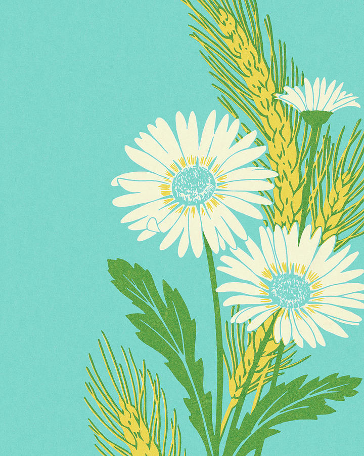 Daisy Drawing - Flowers on Blue Background by CSA Images