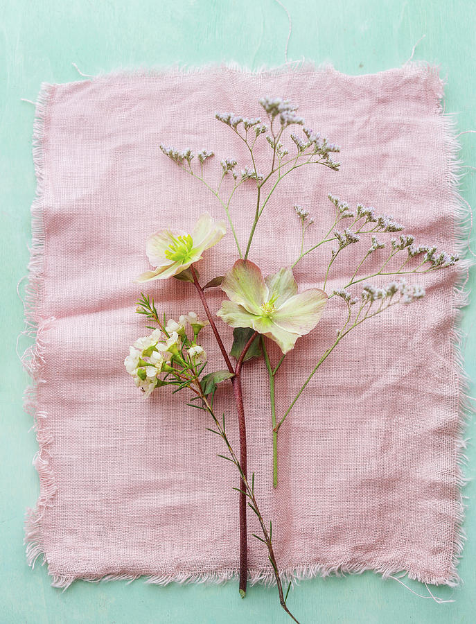 Flowers On Pink Cloth hellebore, Sea Lavender, Waxflower Photograph by Ira Leoni