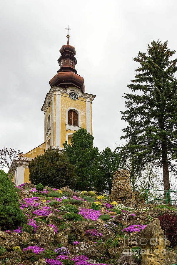 Flowers on the hill to the church Photograph by Les Palenik