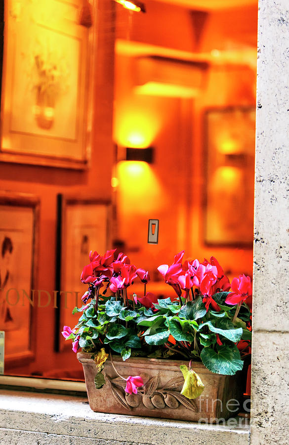 Flower Photograph - Flowers on the Ledge in Rome by John Rizzuto