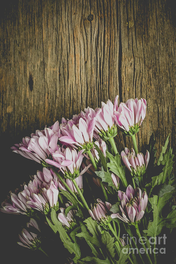 Flower Photograph - Flowers Over Wood by Edward Fielding
