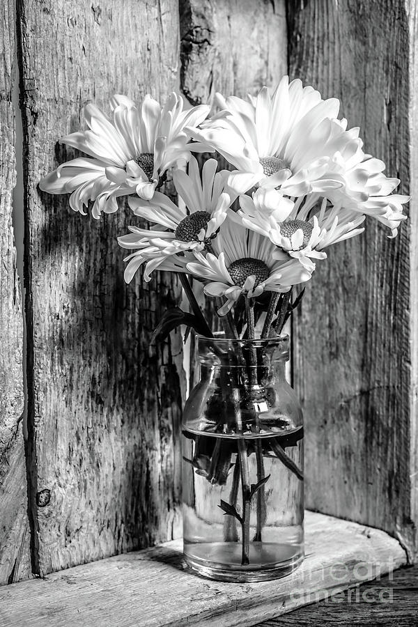 Flowers Still Life 0945 Photograph by Edward Fielding