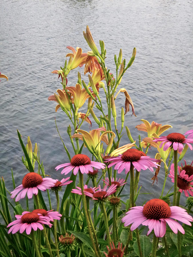 Flowers with Lake 2 Photograph by Ellen Paull