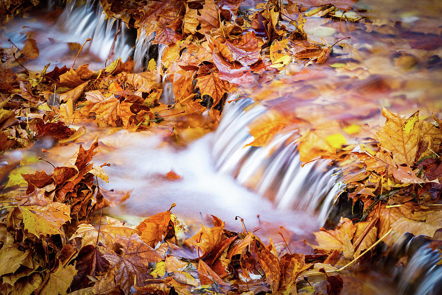 Flowing Fall Photograph
