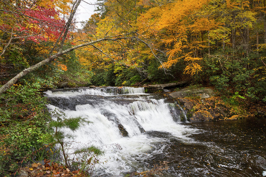 Flowing into Autumn Photograph by Debra and Dave Vanderlaan