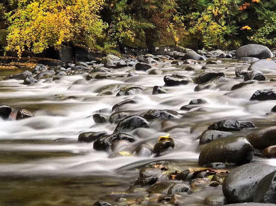 Flowing Molalla Photograph by Brian Eberly