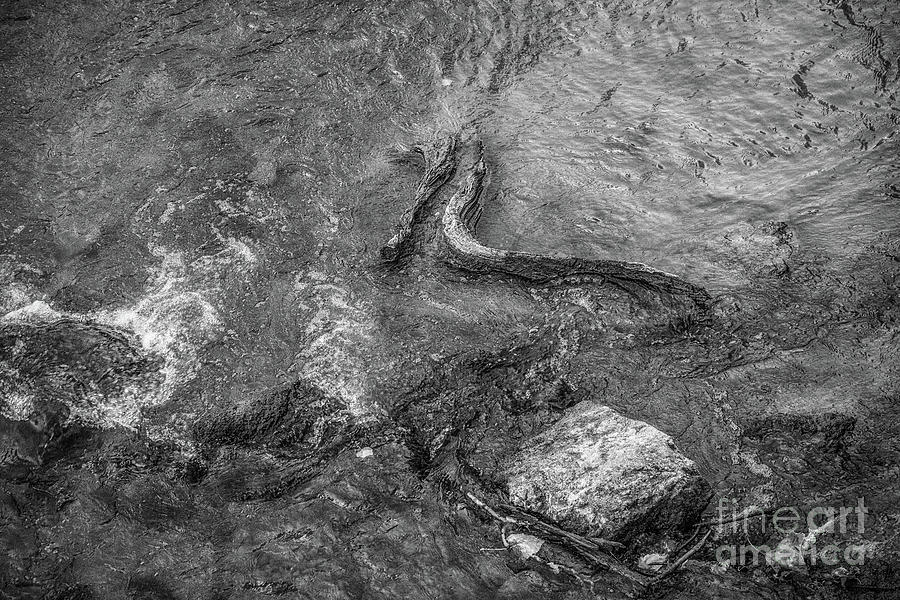 Flowing Stream Water Black and White Digital Art by Randy Steele