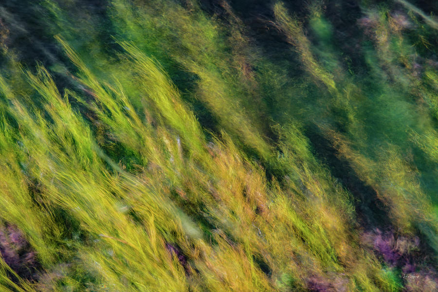 Flowing Textures Photograph by Leland D Howard
