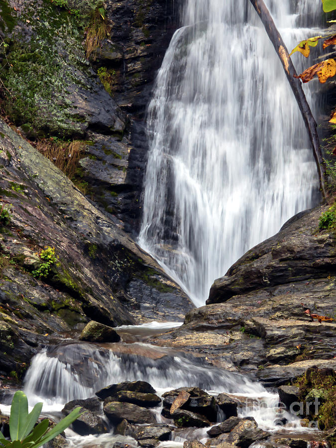 Flowing Toms Creek Falls by Amy Dundon Flowing Toms Creek Falls by Amy Dundon