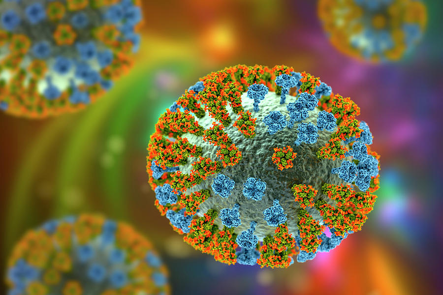 Flu Virus. Illustration Photograph By Kateryna Kon - Fine Art America