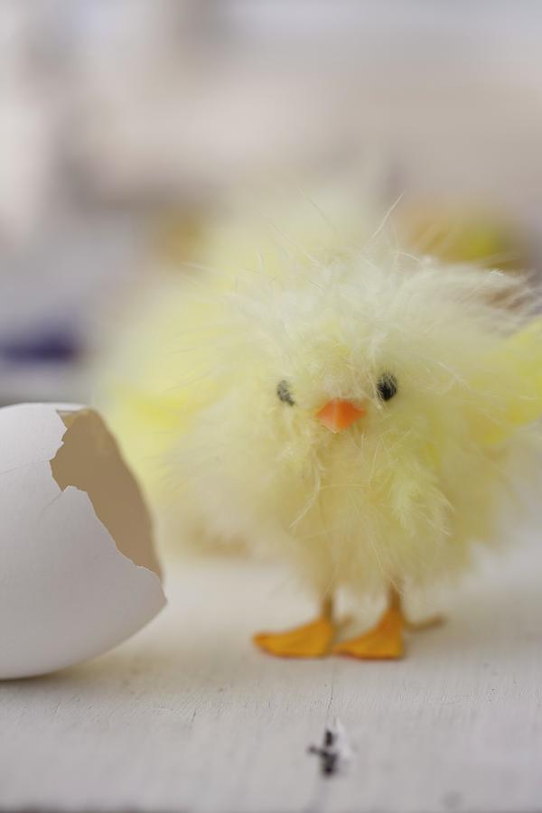 Fluffy Easter Chick Made From Yellow Feathers Next To Egg Shell Photograph by Martina Schindler