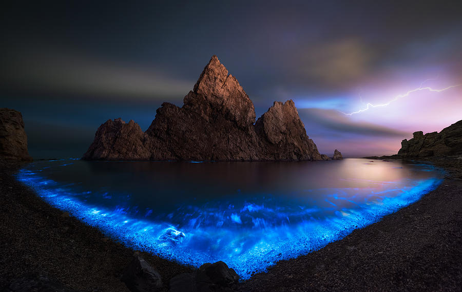 Beach Photograph - Fluorescent Sea by Shanyewuyu