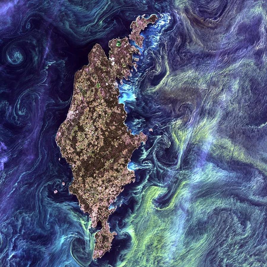 Fluorescent yellow-green phytoplankton mix and whirl in the waters around Gotland  NASA and USGS Painting by Celestial Images