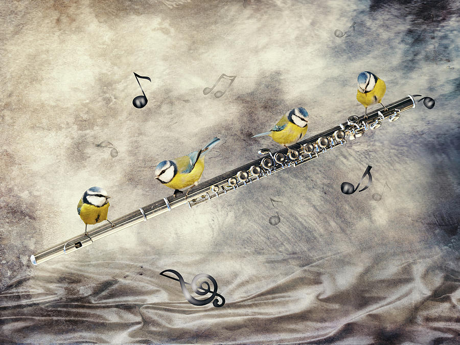 Flute Birds Players Digital Art