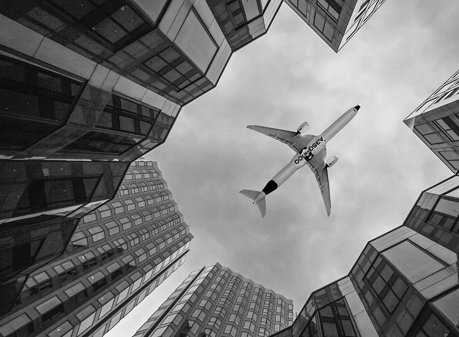 Fly Away Photograph by Michael Allmaier