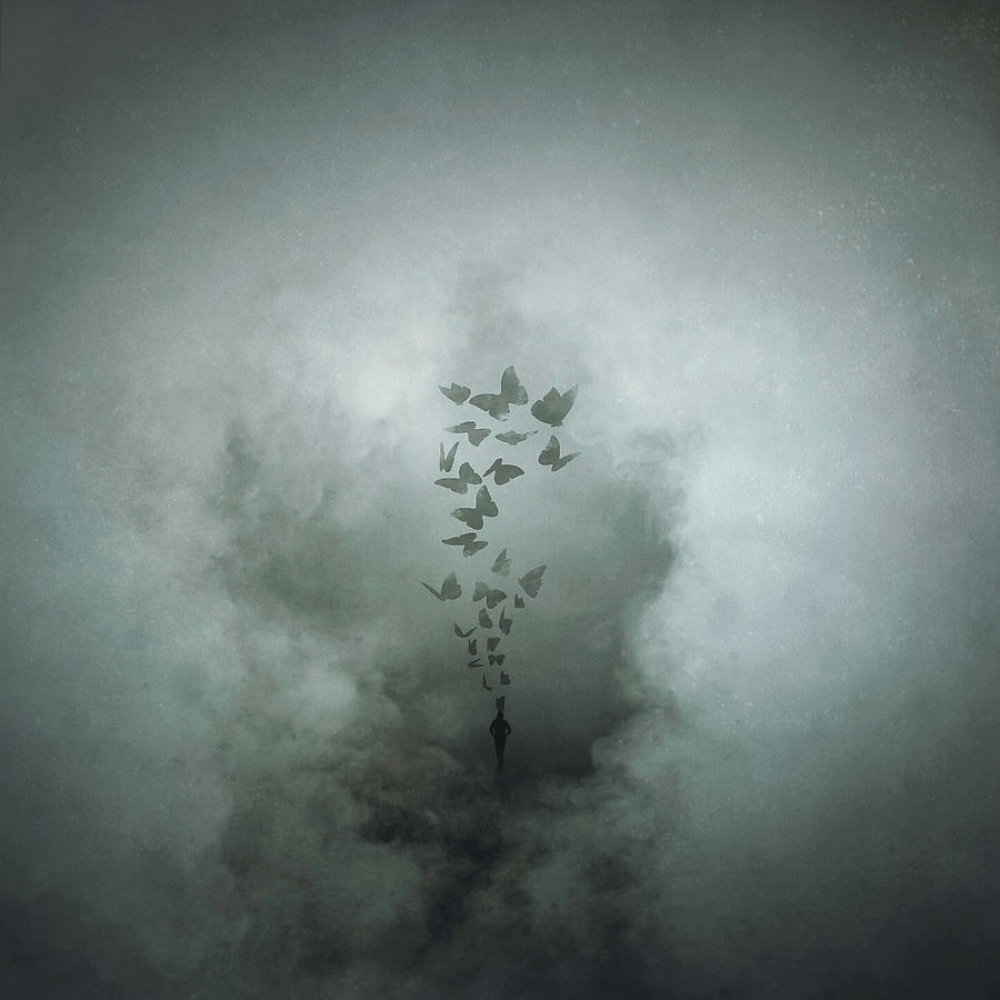 Fly Away My Hope Photograph by Radin Badrnia