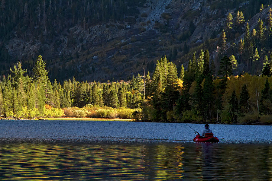 Fly fisherman on Silver Lake, California Photograph by Waterdancer