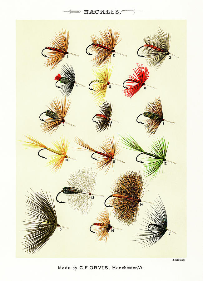 Fly Fishing Lures 1 Drawing by David Letts
