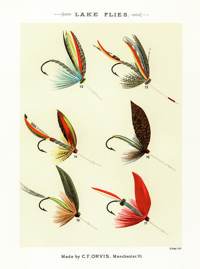 Fly Fishing Lures 11 Drawing by David Letts