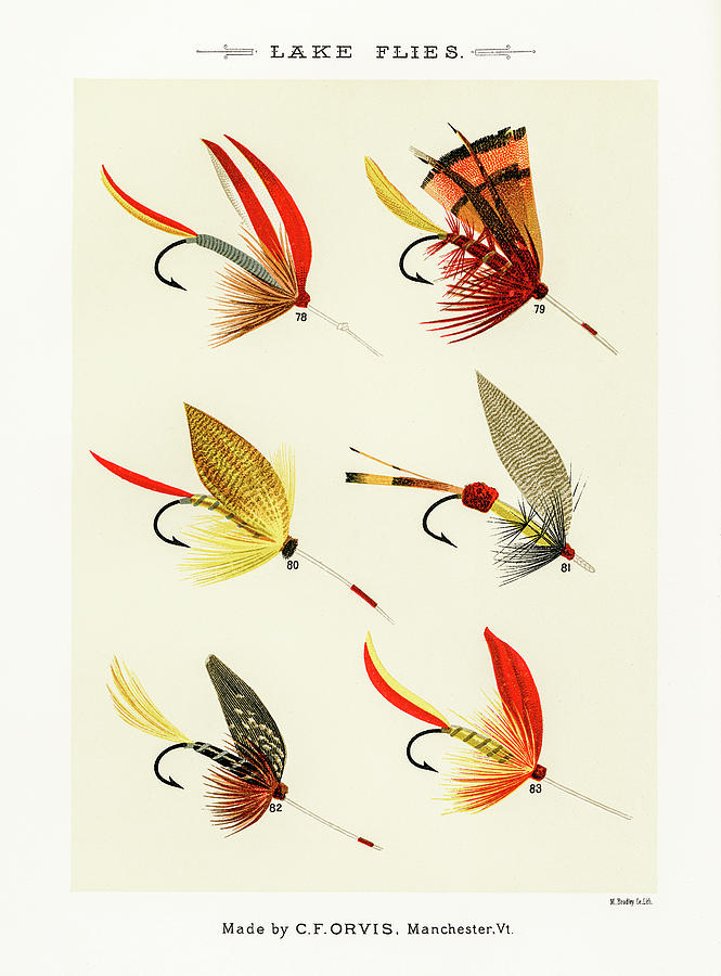 Fly Fishing Lures 12 Drawing by David Letts