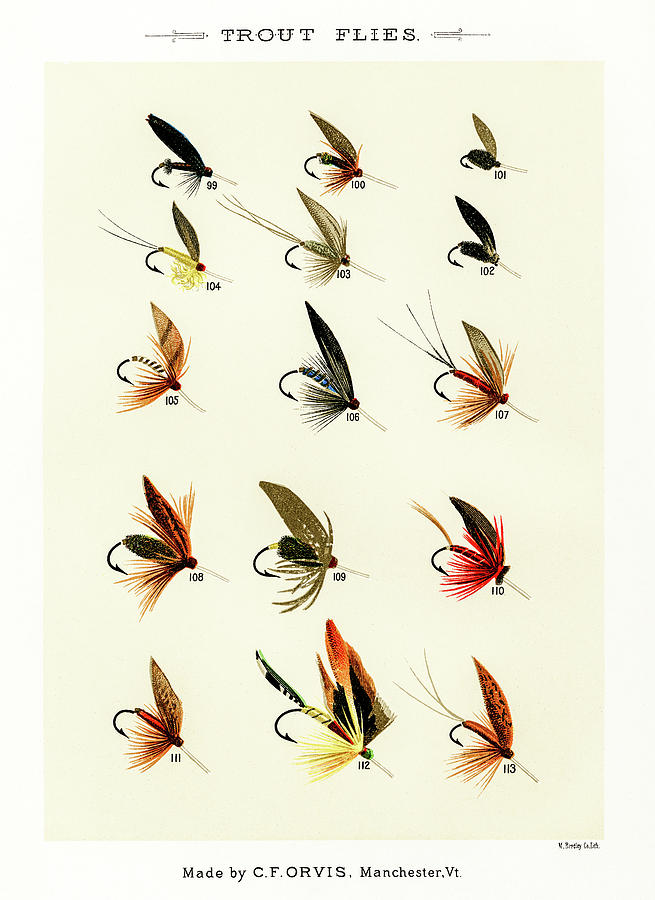 Fly Fishing Lures 14 Drawing by David Letts