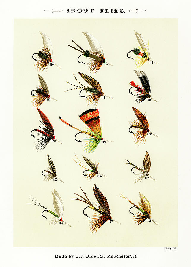 Fly Fishing Lures 15 Drawing by David Letts