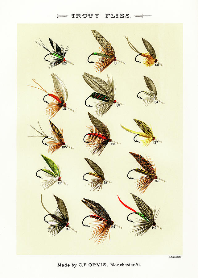 Fly Fishing Lures 16 Drawing by David Letts