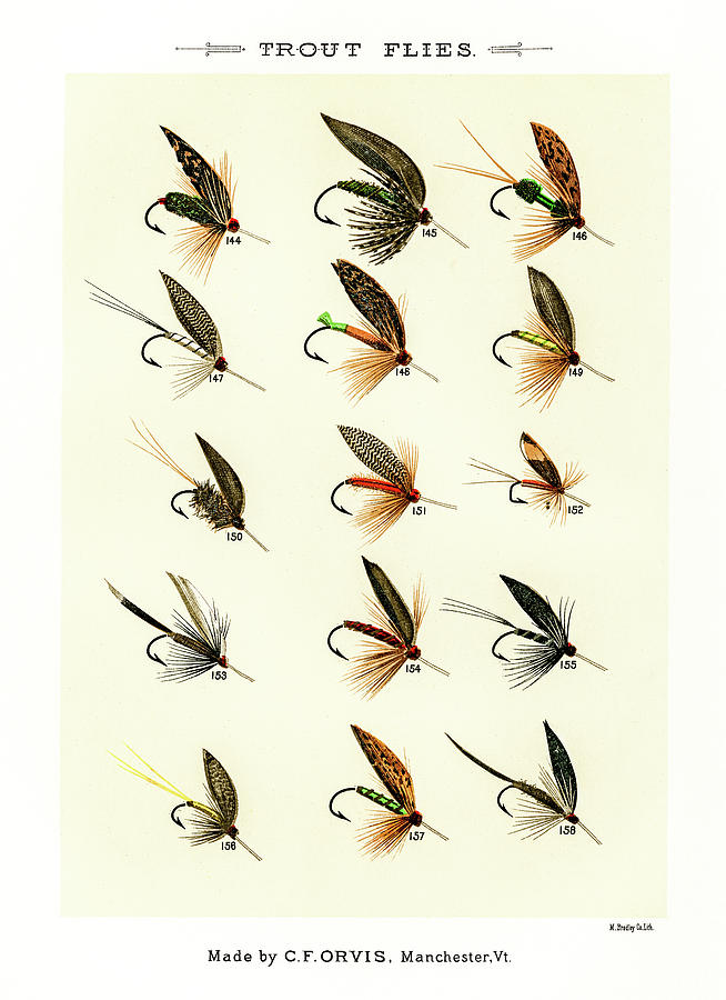 Fly Fishing Lures 17 Drawing by David Letts - Pixels