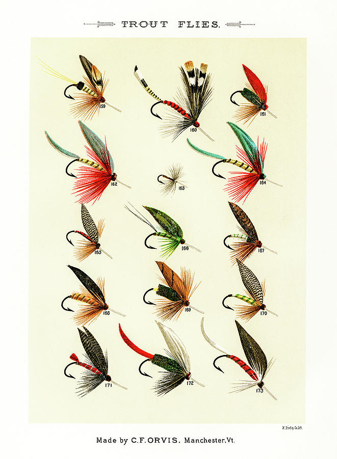 Fly Fishing Lures 18 Drawing by David Letts