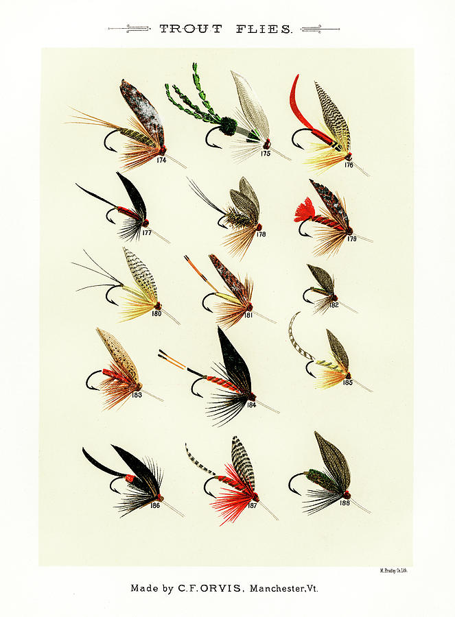 Fly Fishing Lures 19 Drawing by David Letts