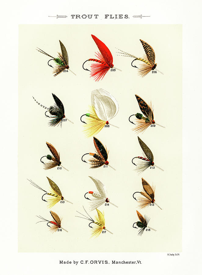 Fly Fishing Lures 21 Drawing by David Letts