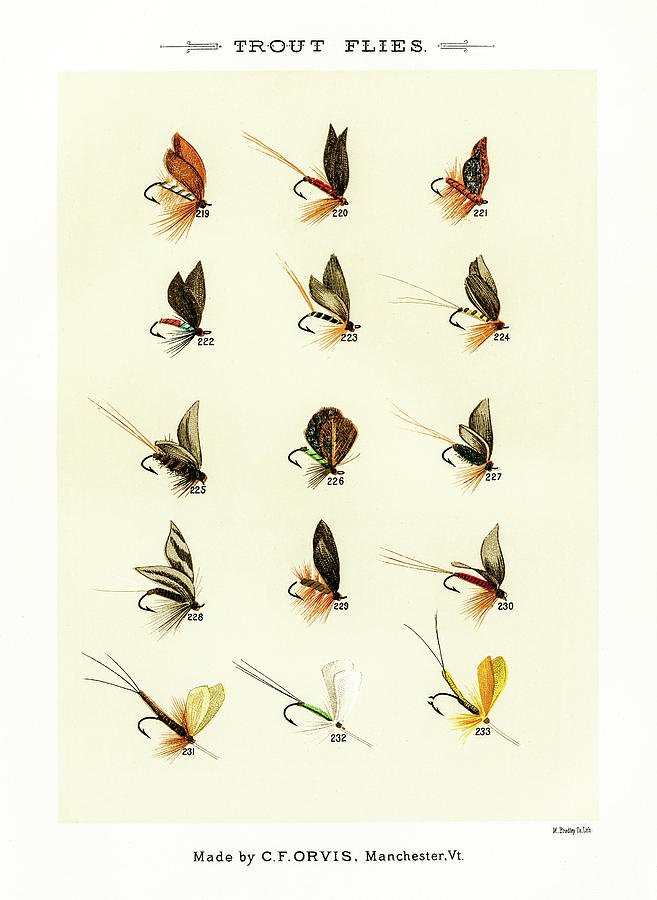 Fly Fishing Lures 22 Drawing by David Letts