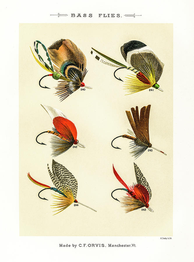 Fly Fishing Lures 24 Drawing by David Letts