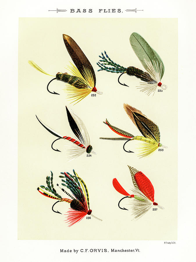 Fly Fishing Lures 26 Drawing by David Letts