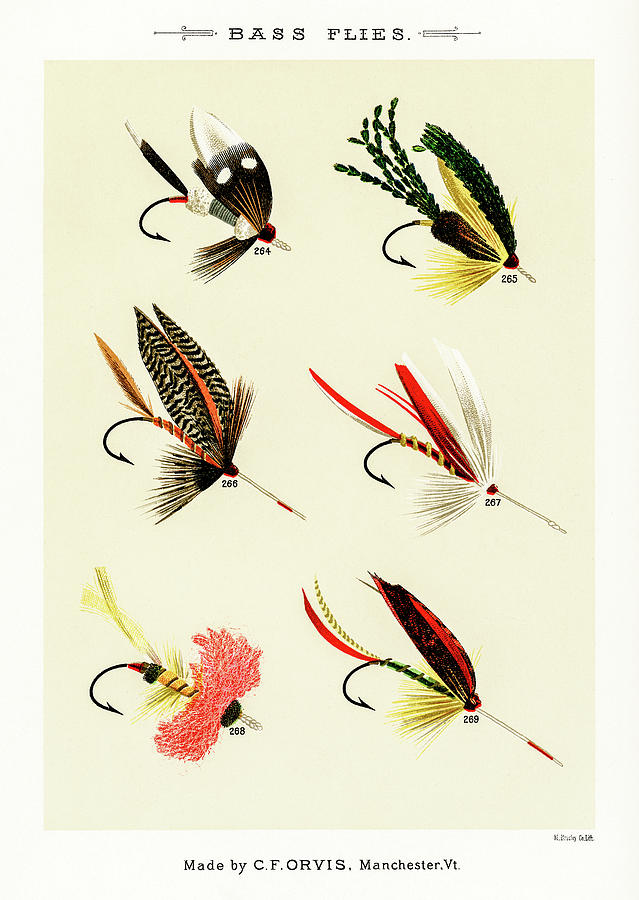 Fly Fishing Lures 28 Drawing by David Letts
