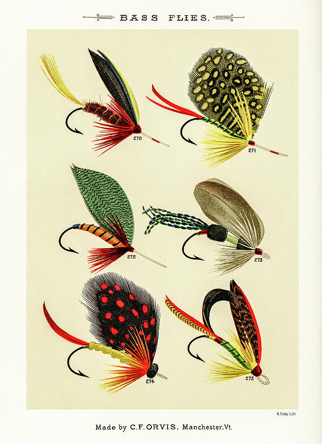 Fly Fishing Lures 29 Drawing by David Letts