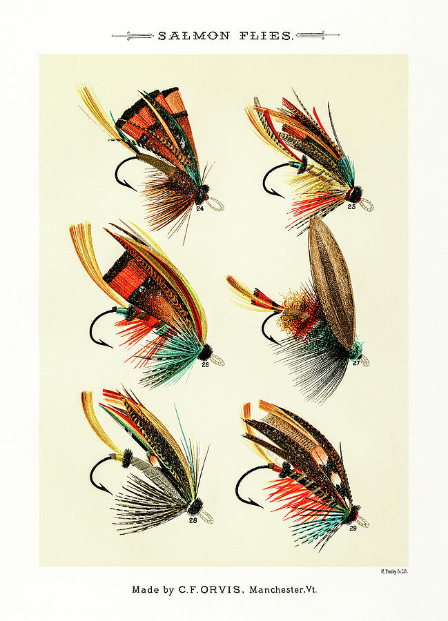 Fly Fishing Lures 3 Drawing by David Letts