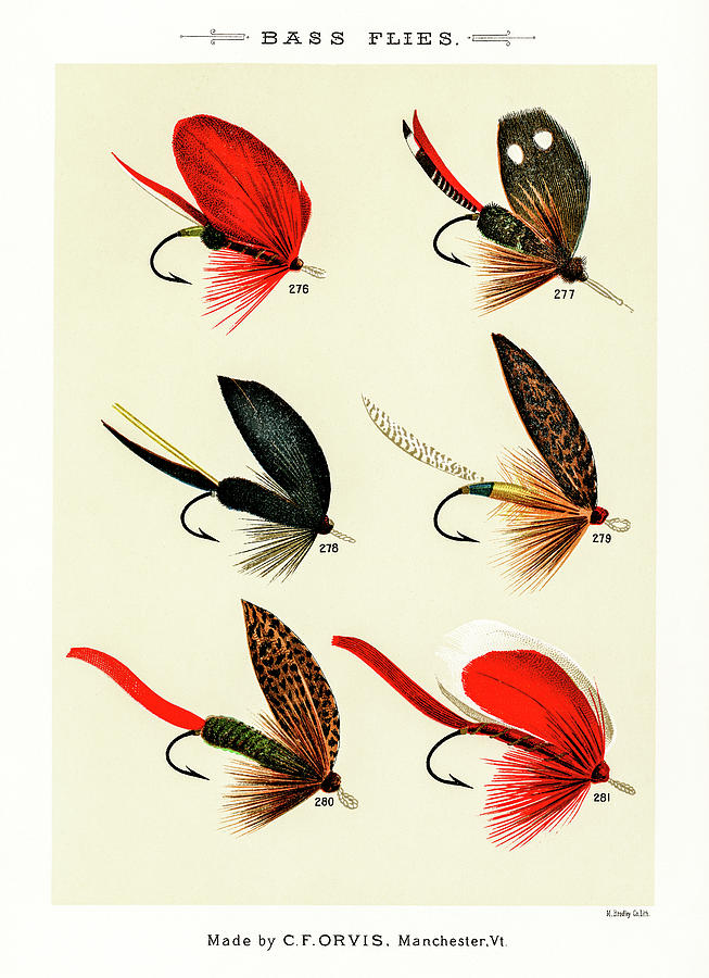 Fly Fishing Lures 30 Drawing by David Letts