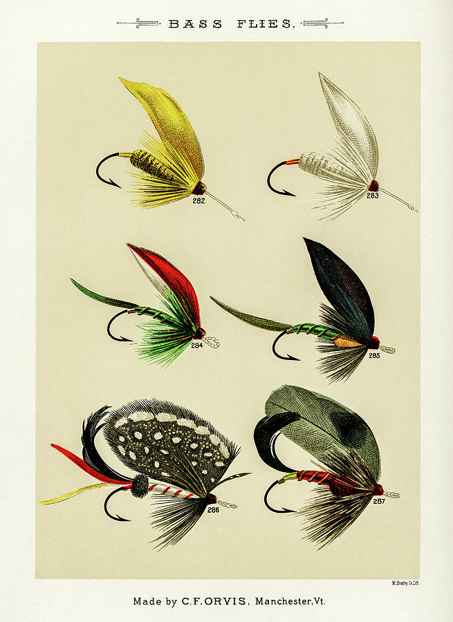 Fly Fishing Lures 31 Drawing by David Letts