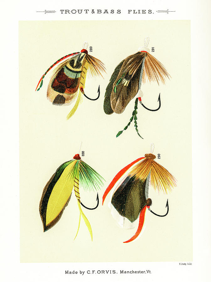 Fly Fishing Lures 32 Drawing by David Letts - Fine Art America