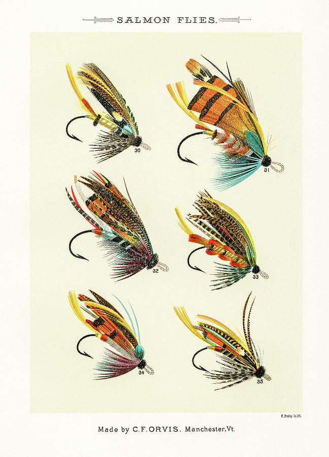 Fly Fishing Lures 4 Drawing by David Letts