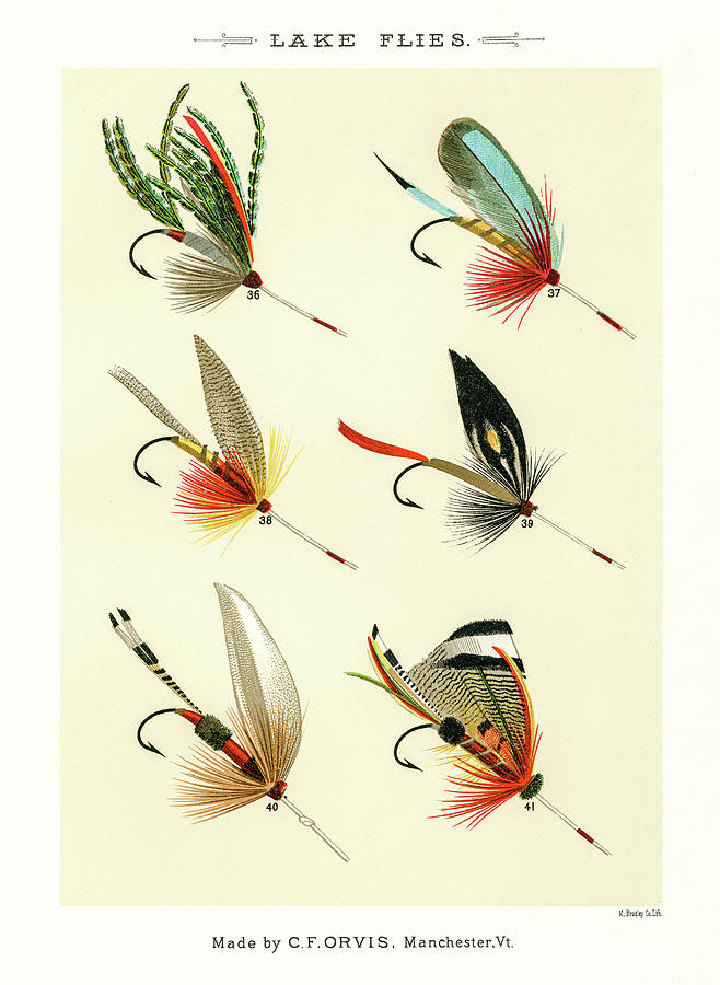 Fly Fishing Lures 5 by David Letts