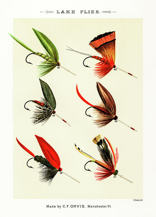 Fly Fishing Lures 6 Drawing by David Letts